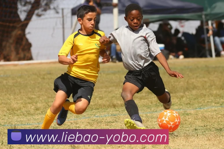 友博体育发展历程